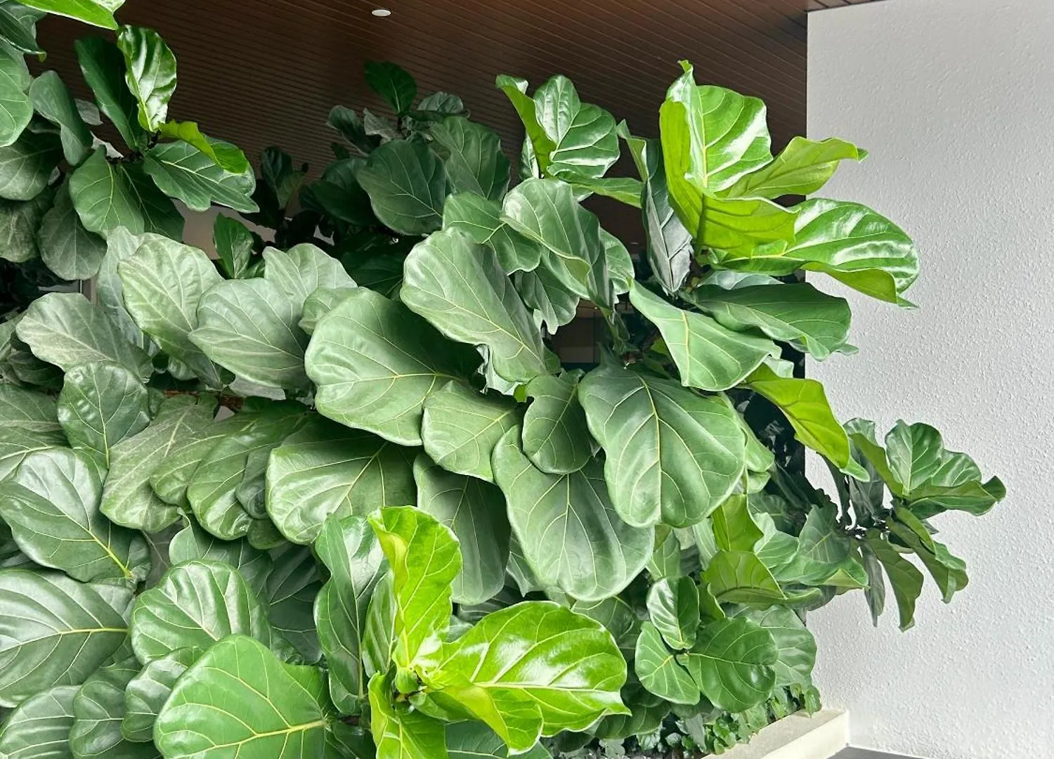 Appartement Ss Kl Sentral By Nomadnest à Kuala Lumpur